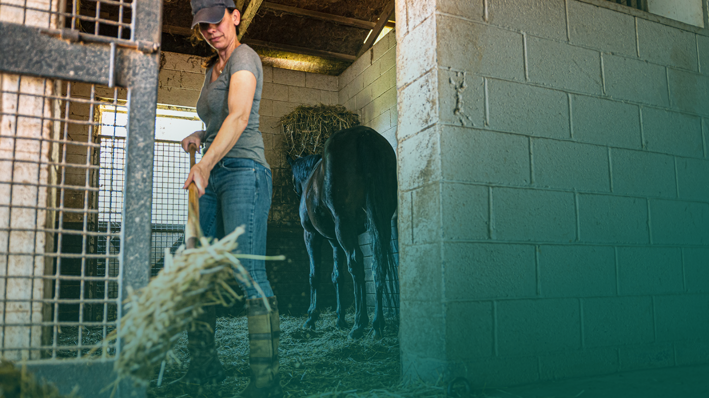 A woman scooping hay in a horse stable