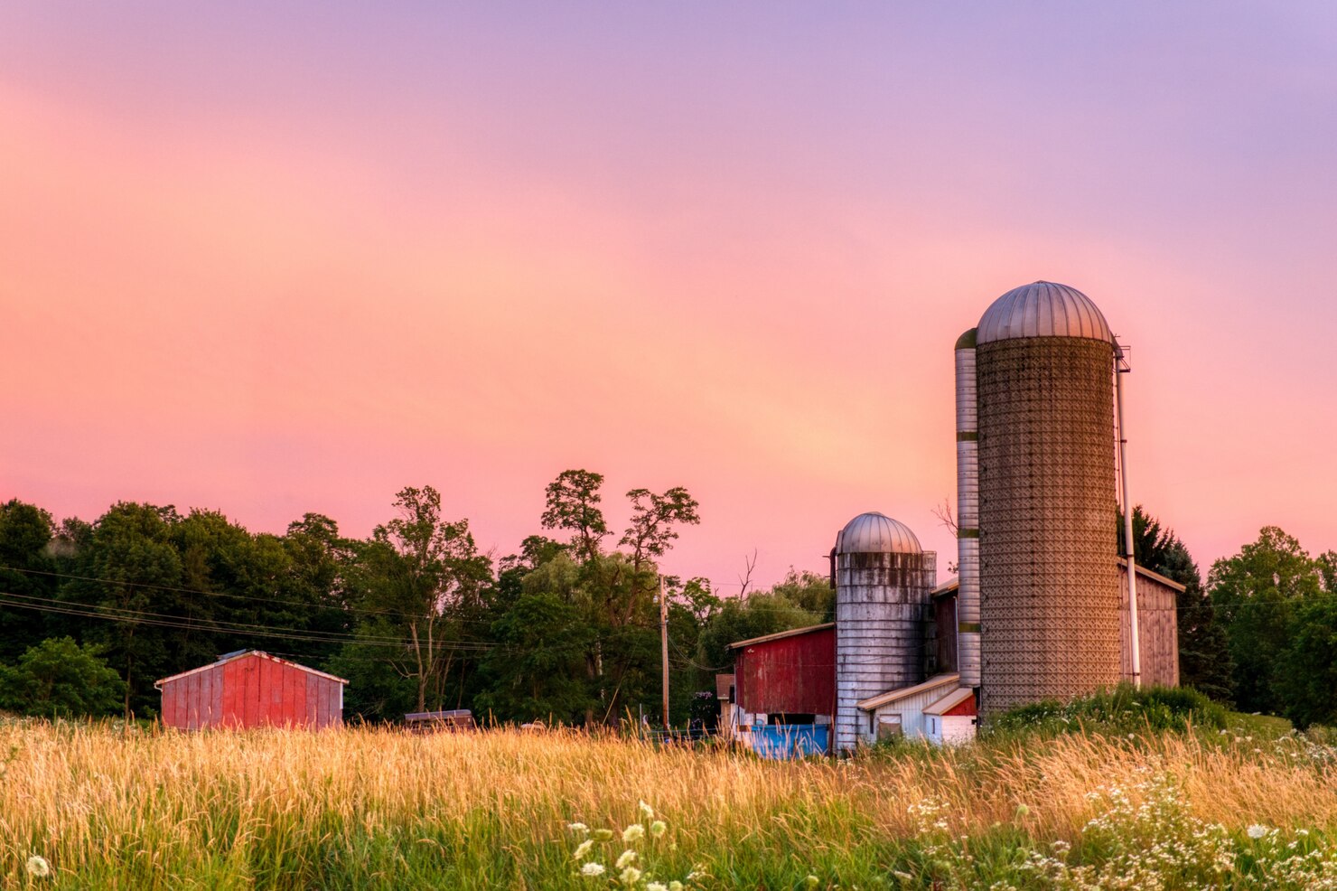 Michael Family Farms
