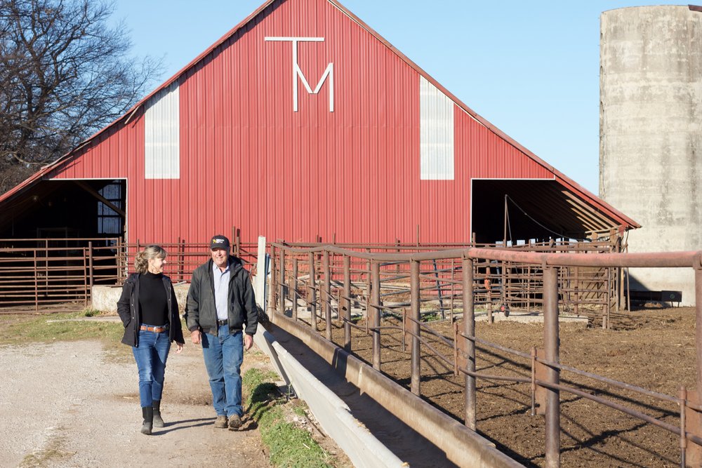 Mershon Cattle